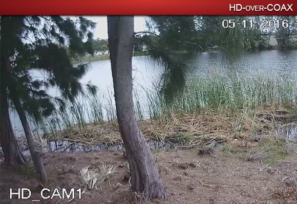 Compare Analog to HDCVI - 1080P Waterfront