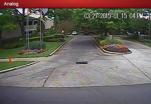 Compare Analog to HDCVI - 700TVL Flowers