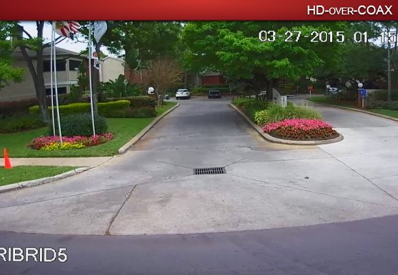 Compare Analog to HDCVI - 1080P Flowers