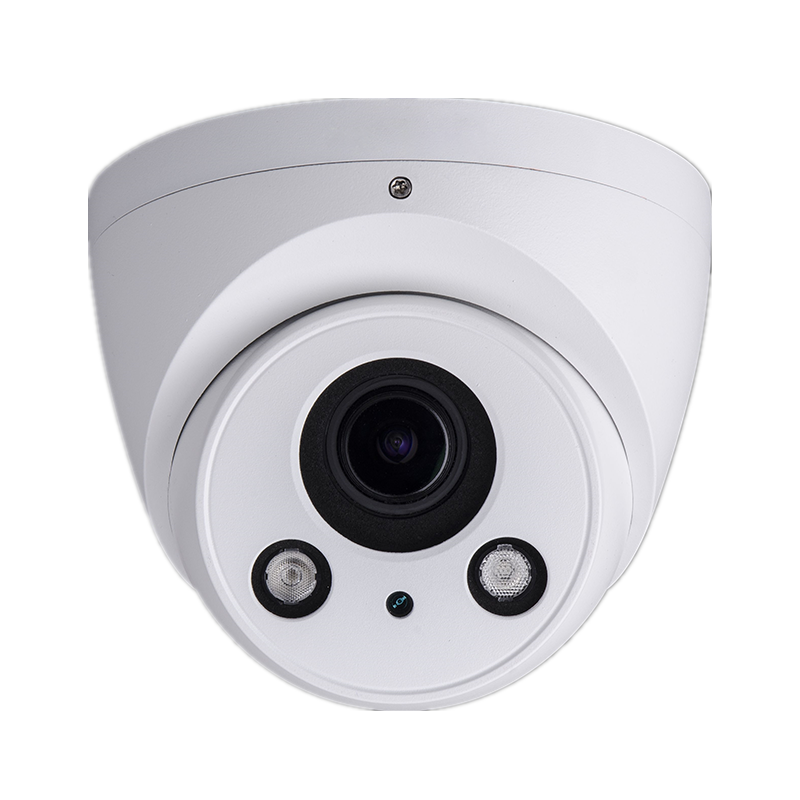 5 Megapixel motorized network armor ball