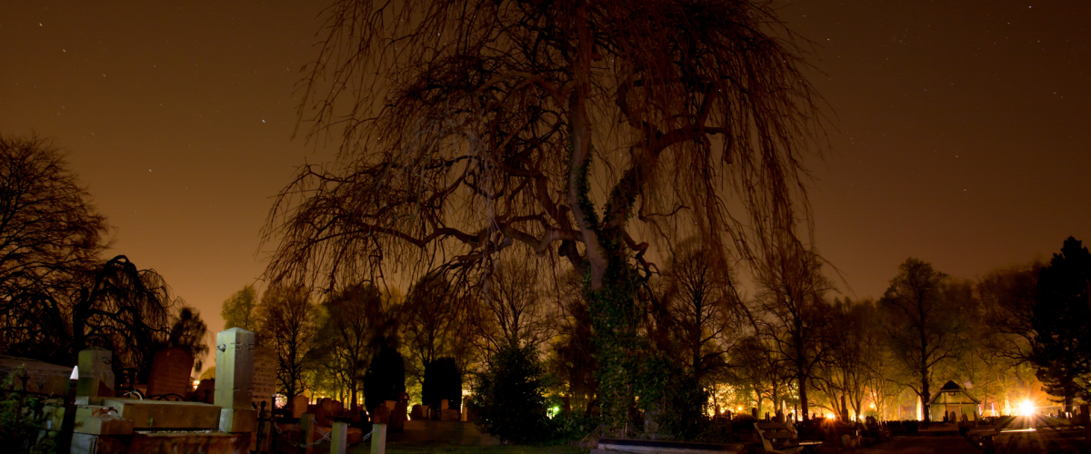 cemetery-dark-graveyard-orange