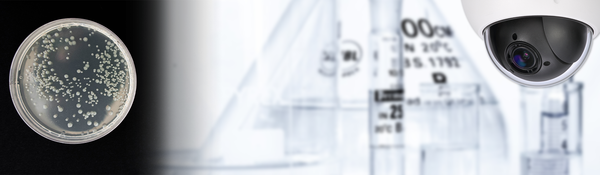 Remote Video Surveillance Monitoring - Vaccine Research - IP2MPTZ-4X